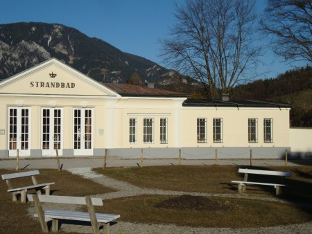 Schneerose Edlach